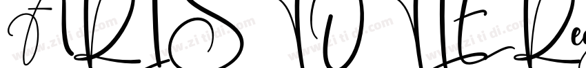 ARISTOTLE Regular字体转换